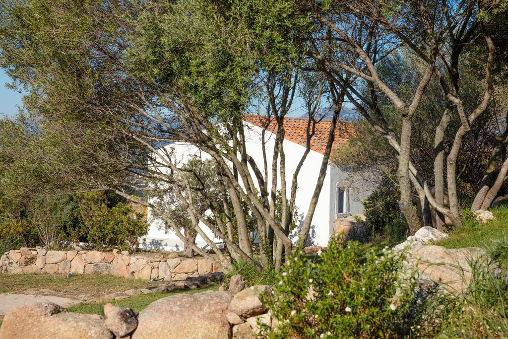 Villa Agriturismo Cabu Abbas Olbia Exterior foto